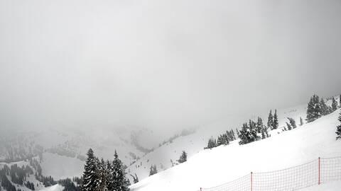 Webcam Jackson Hole: Cody bowl