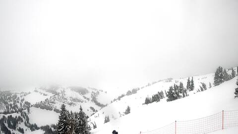 Webcam Jackson Hole: Cody bowl