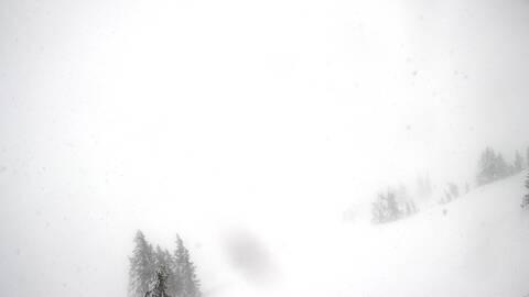 Webcam Jackson Hole: Cody bowl