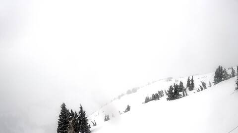 Webcam Jackson Hole: Cody bowl