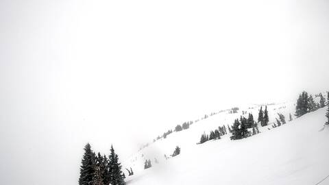 Webcam Jackson Hole: Cody bowl