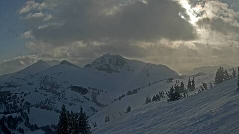 Webcam Jackson Hole: Cody bowl