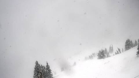 Webcam Jackson Hole: Cody bowl