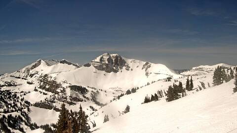 Webcam Jackson Hole: Cody bowl