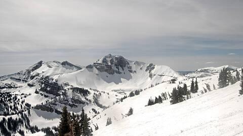 Webcam Jackson Hole: Cody bowl