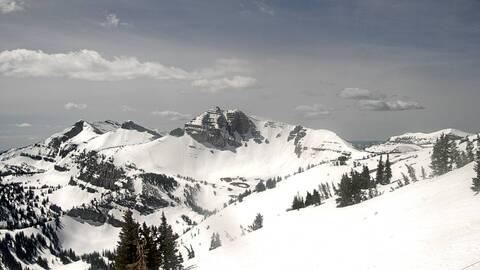 Webcam Jackson Hole: Cody bowl
