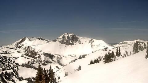 Webcam Jackson Hole: Cody bowl