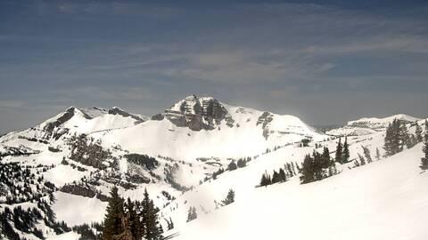 Webcam Jackson Hole: Cody bowl