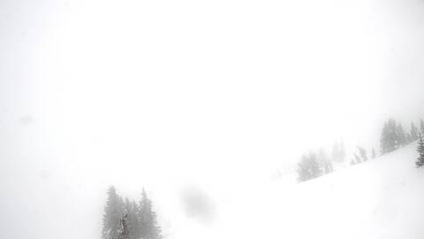 Webcam Jackson Hole: Cody bowl