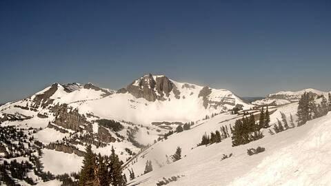 Webcam Jackson Hole: Cody bowl
