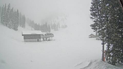 Webcam Jackson Hole: Sublette base