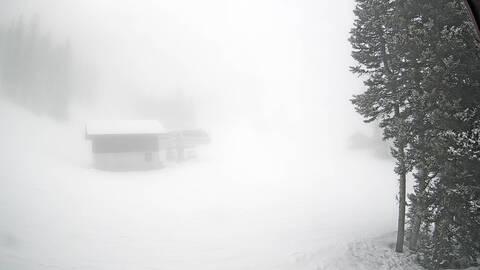 Webcam Jackson Hole: Sublette base