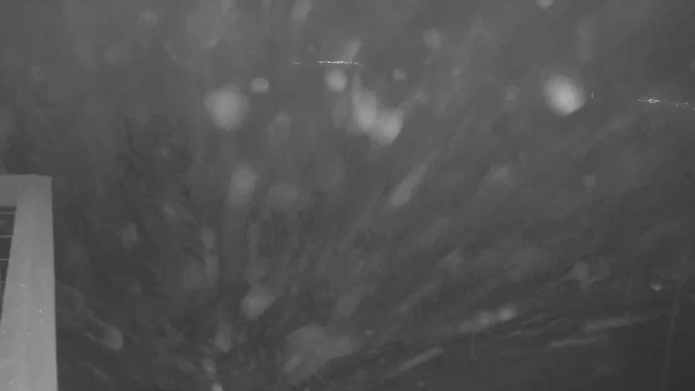 Webcam Keystone: Dercum mountain