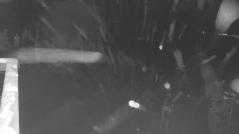 Webcam Keystone: Dercum mountain