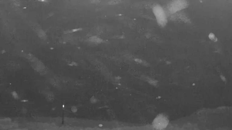 Webcam Keystone: North peak view