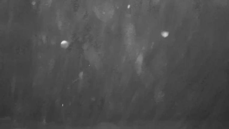 Webcam Keystone: North peak view