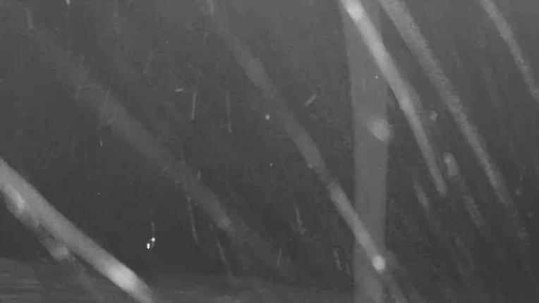 Webcam Keystone: North peak view