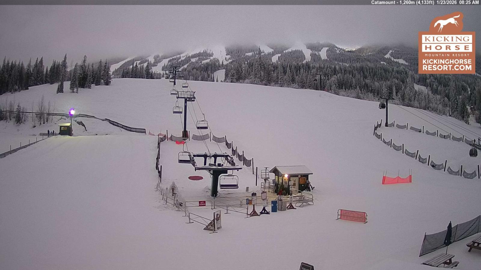 Webcam Kicking Horse: Catamount