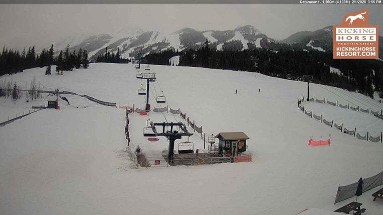 Webcam Kicking Horse: Catamount