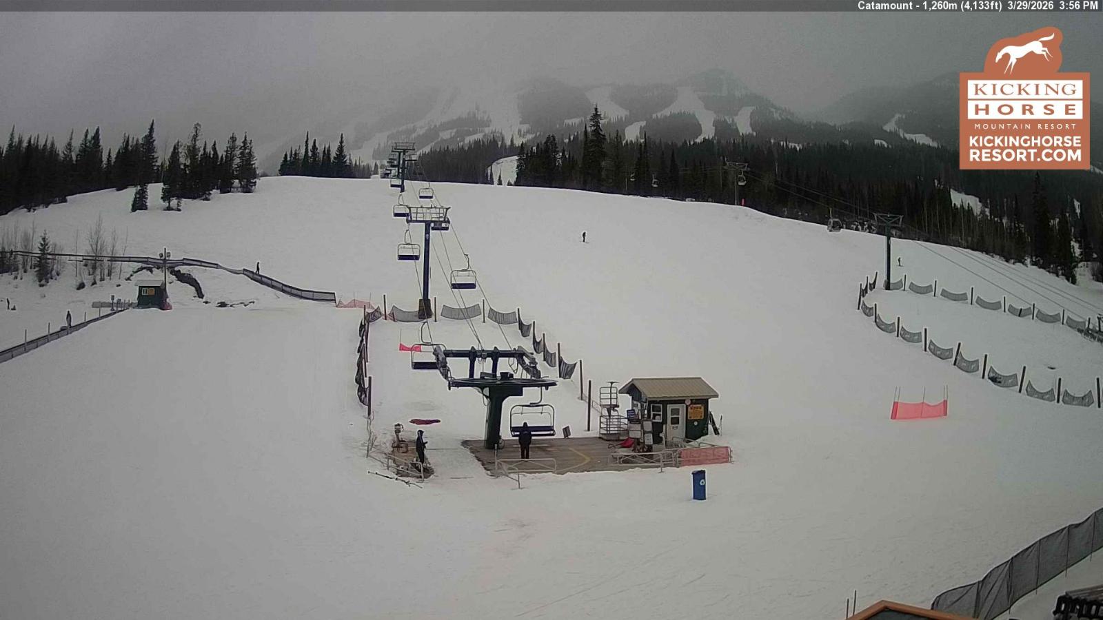 Webcam Kicking Horse: Catamount