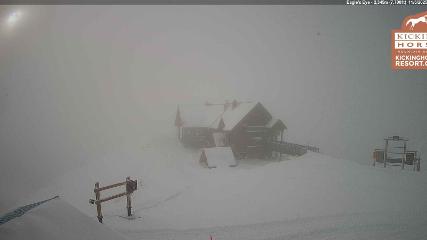 Kicking Horse webcam