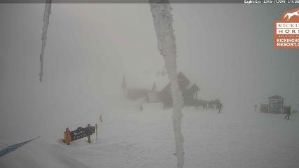 Kicking Horse webcam