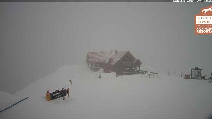 Kicking Horse webcam