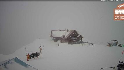 Kicking Horse webcam