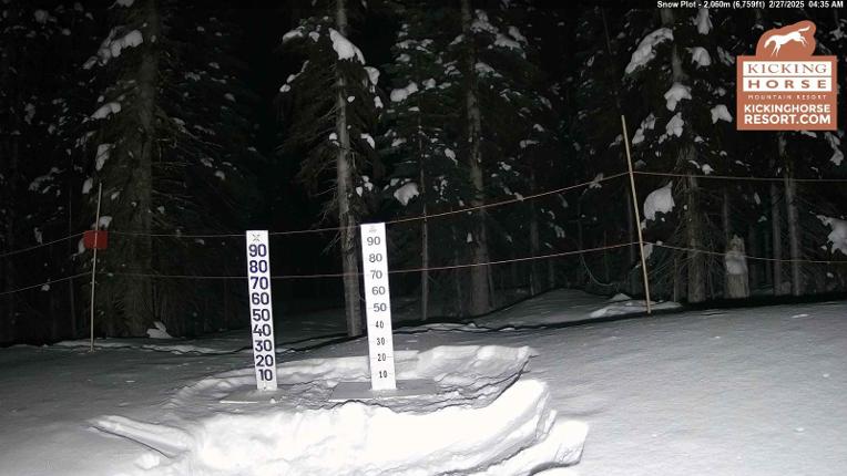 Webcam Kicking Horse: Snow Plot