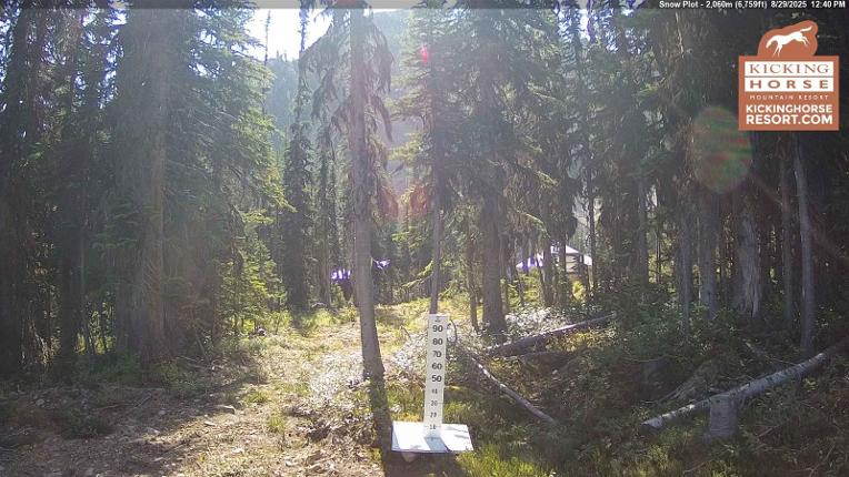 Webcam Kicking Horse: Snow Plot