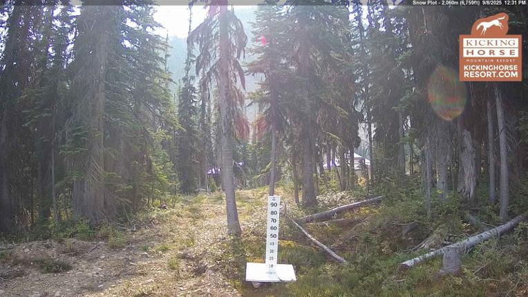 Webcam Kicking Horse: Snow Plot