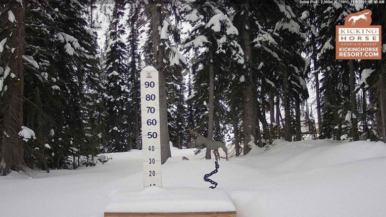 Webcam Kicking Horse: Snow Plot