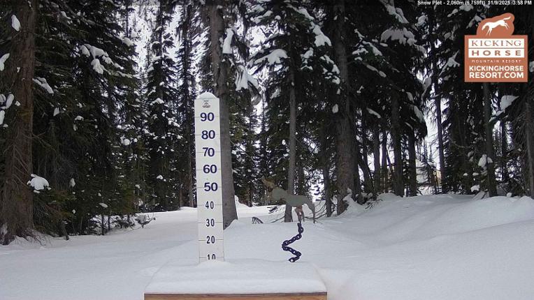 Webcam Kicking Horse: Snow Plot