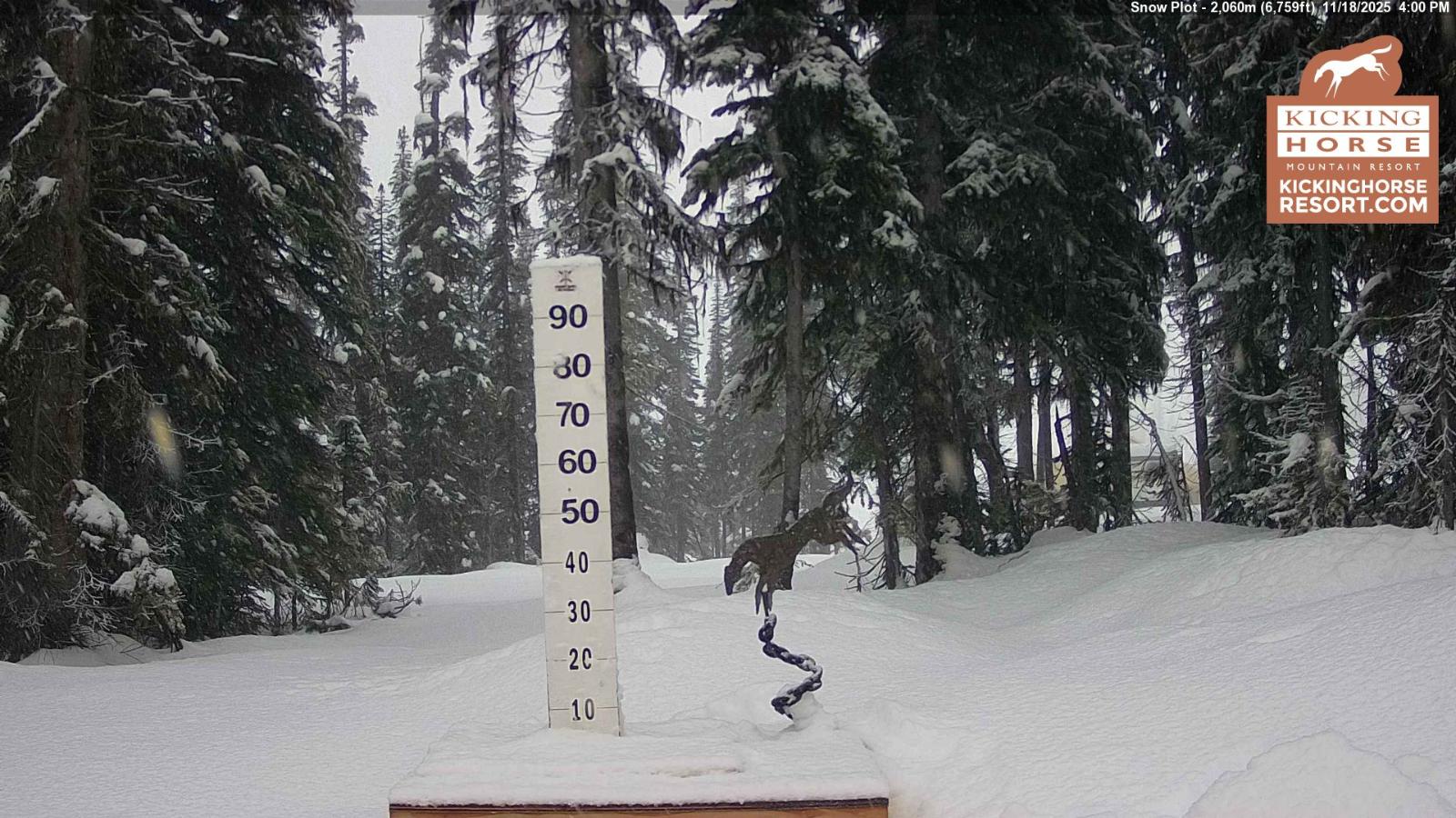 Webcam Kicking Horse: Snow Plot