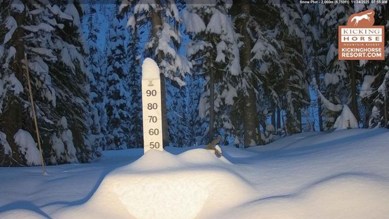 Webcam Kicking Horse: Snow Plot