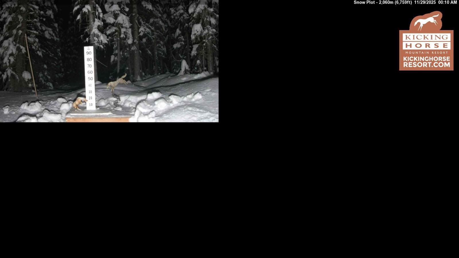 Webcam Kicking Horse: Snow Plot