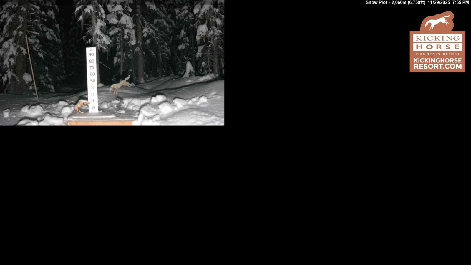 Webcam Kicking Horse: Snow Plot
