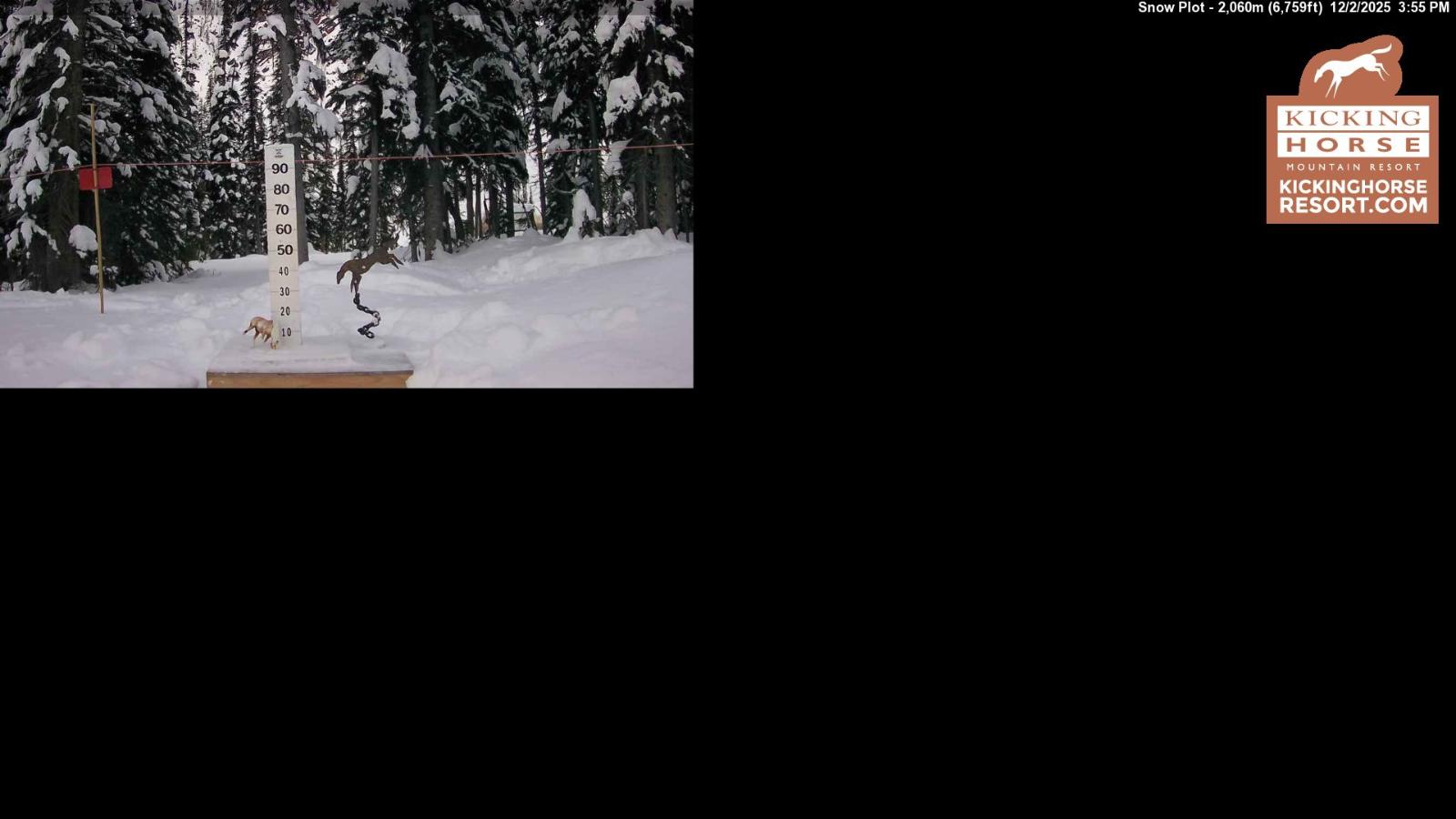 Webcam Kicking Horse: Snow Plot