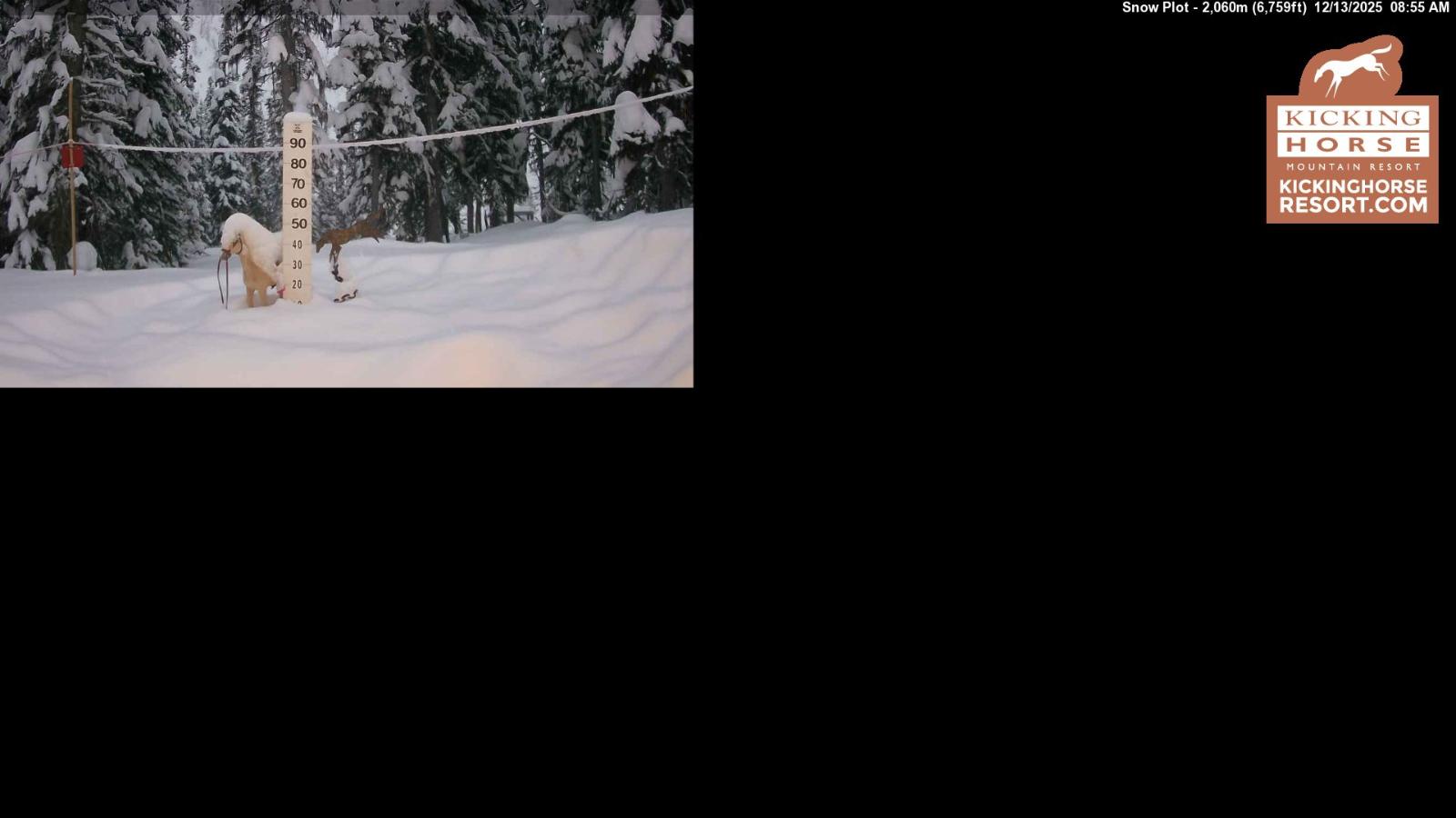 Webcam Kicking Horse: Snow Plot
