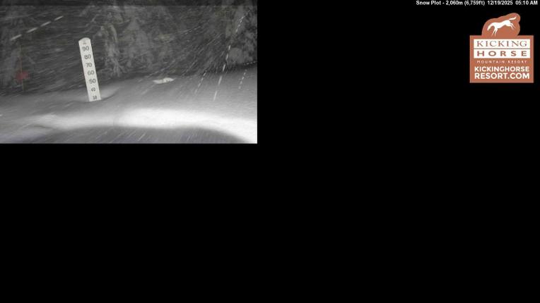 Webcam Kicking Horse: Snow Plot