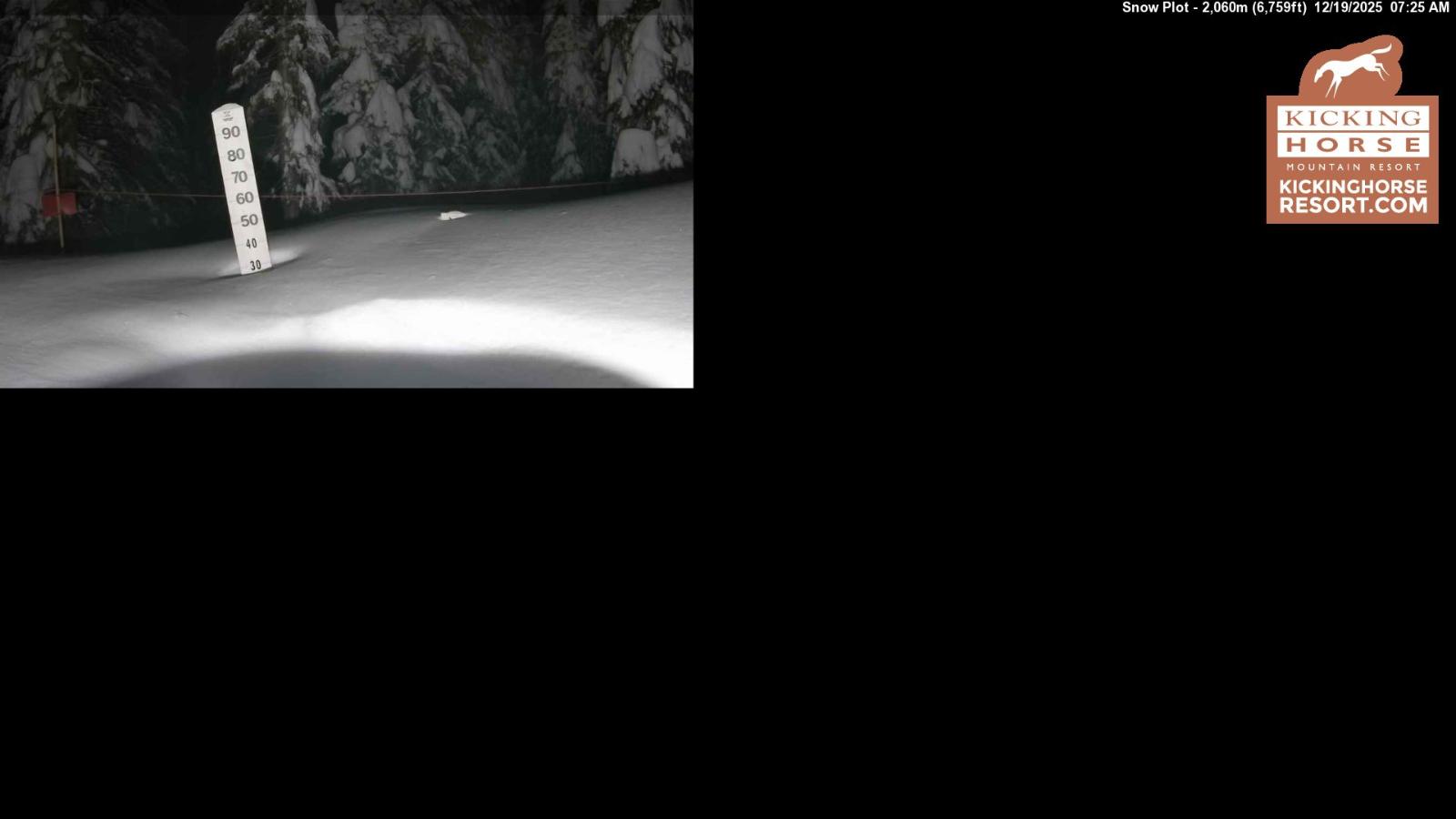 Webcam Kicking Horse: Snow Plot