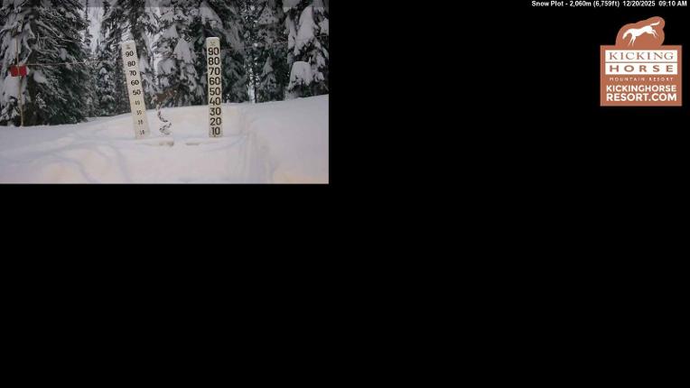 Webcam Kicking Horse: Snow Plot
