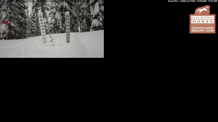 Webcam Kicking Horse: Snow Plot