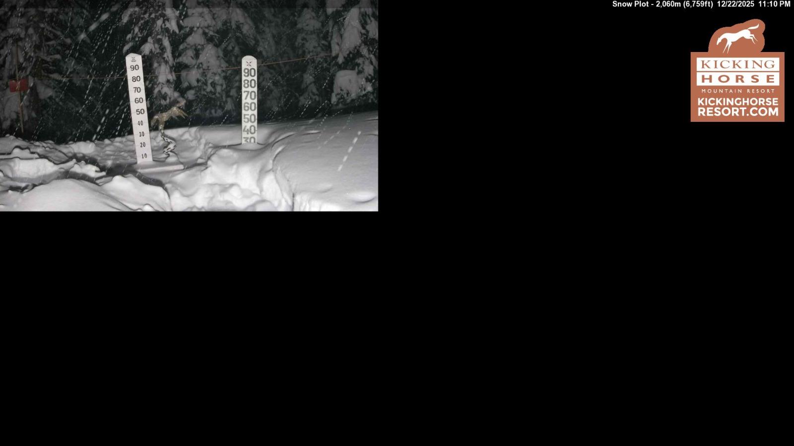 Webcam Kicking Horse: Snow Plot