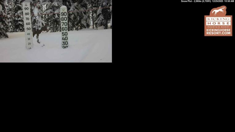 Webcam Kicking Horse: Snow Plot