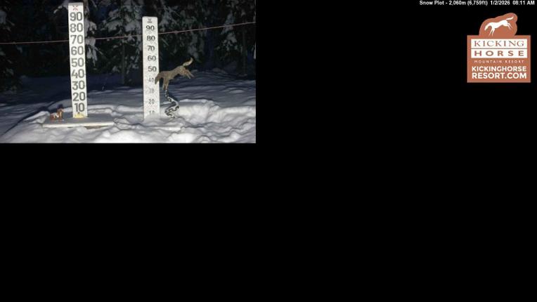 Webcam Kicking Horse: Snow Plot