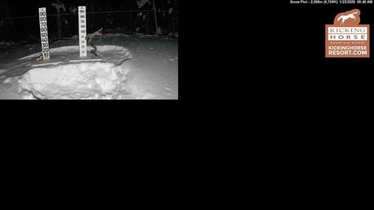Webcam Kicking Horse: Snow Plot