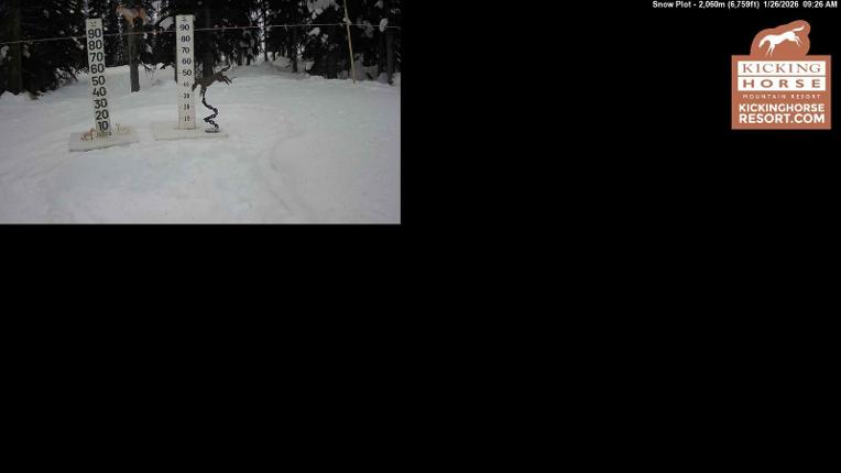 Webcam Kicking Horse: Snow Plot