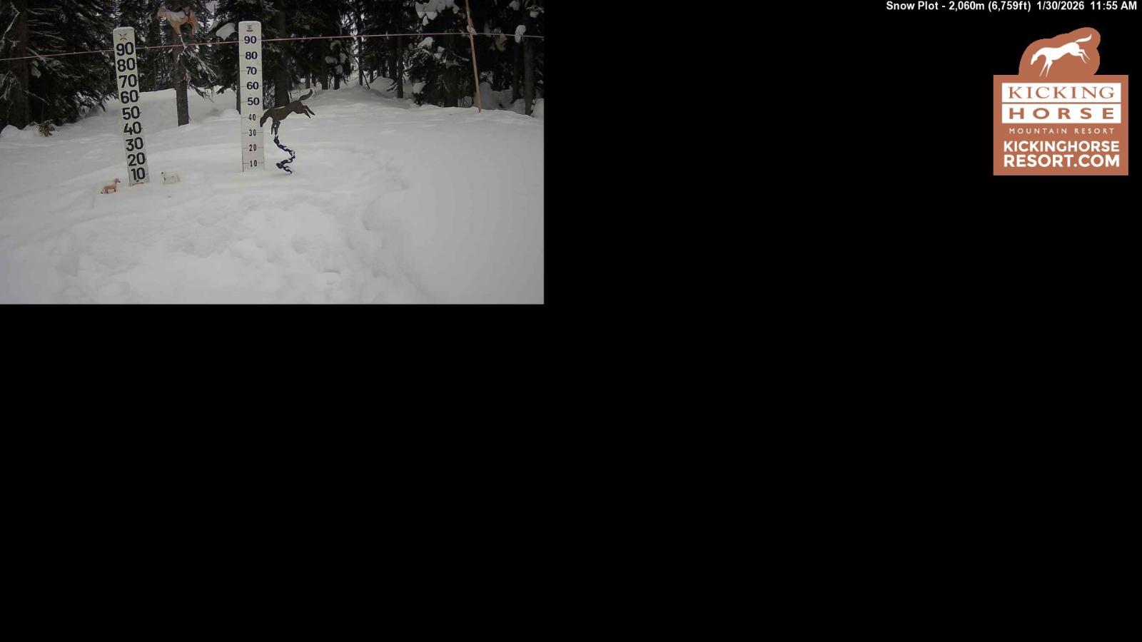 Webcam Kicking Horse: Snow Plot