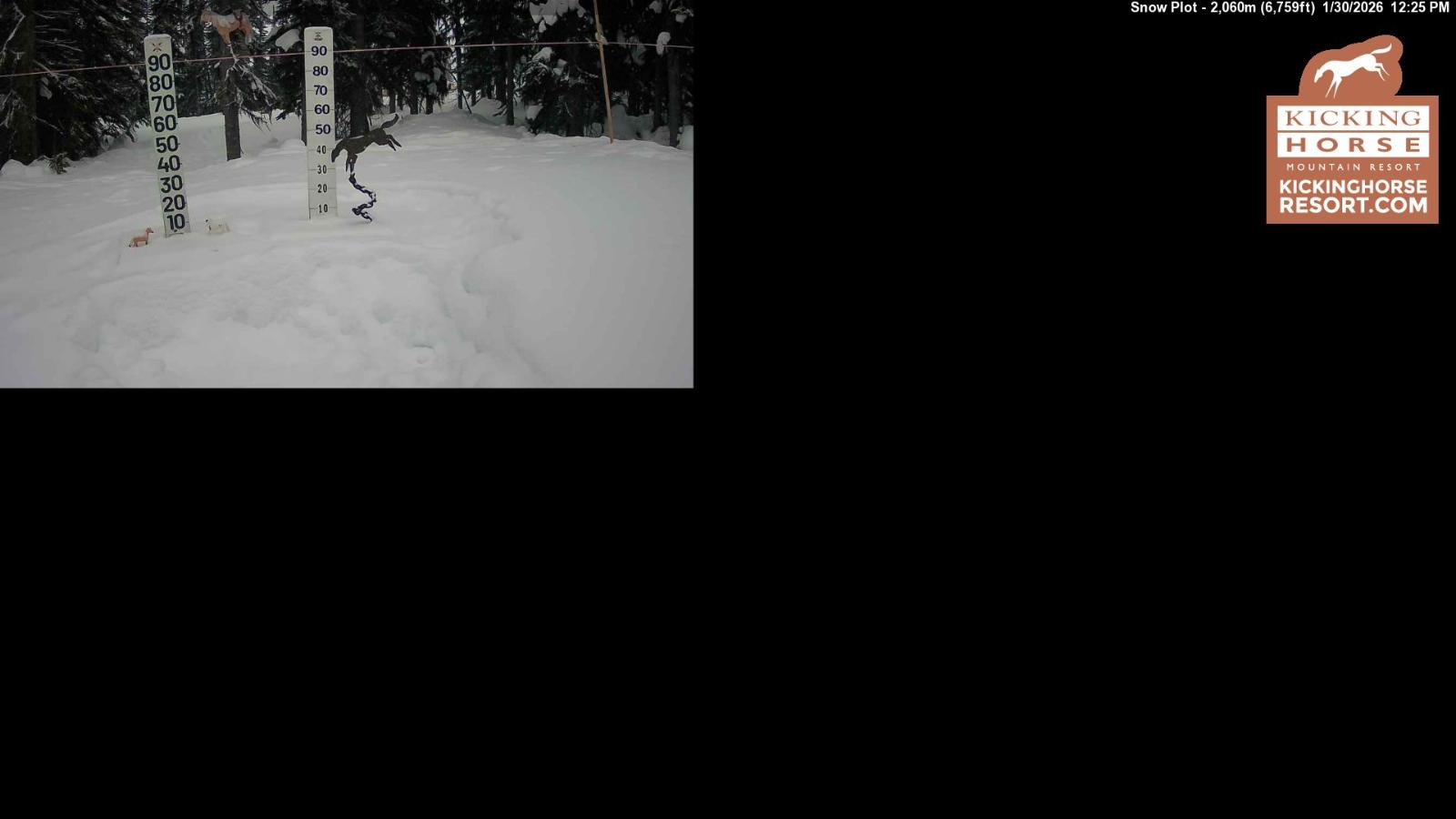Webcam Kicking Horse: Snow Plot